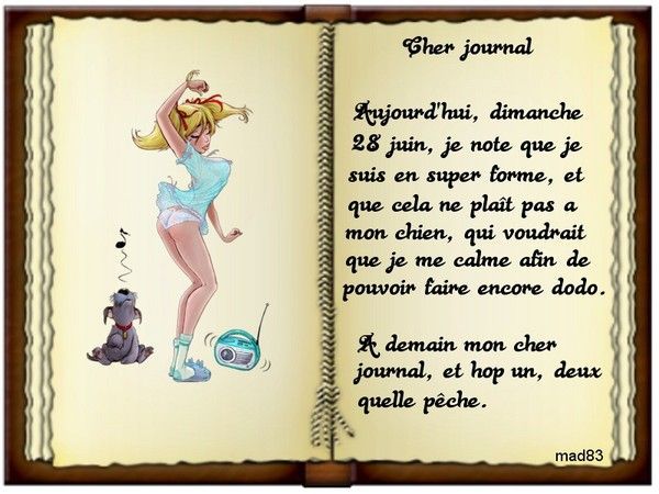 JOURNAL INTIME